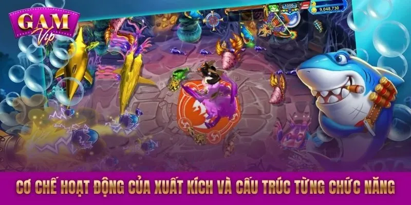 Cơ chế hoạt động của xuất kích và cấu trúc từng chức năng