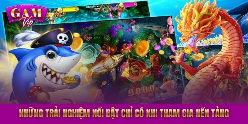 Những trải nghiệm nổi bật chỉ có khi tham gia nền tảng