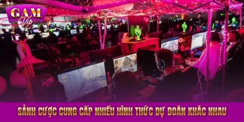 Sảnh cược cung cấp nhiều hình thức dự đoán khác nhau